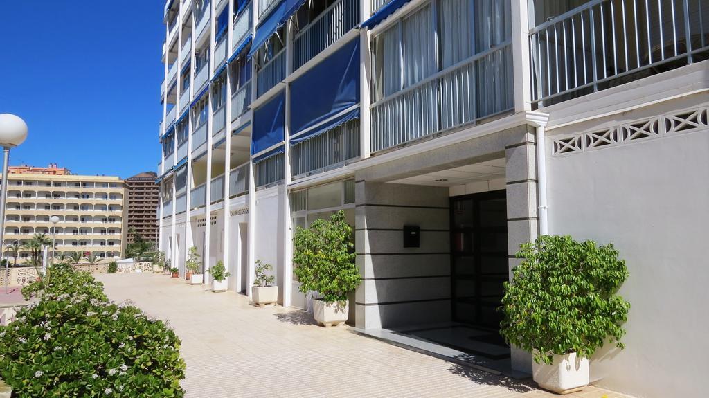 Halcon Levante Benidorm Rom bilde